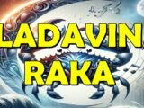 vladavina Raka