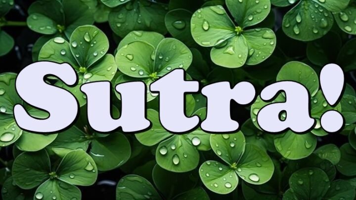 Sutra kreće lavina sreće – proveri da li si na listi!